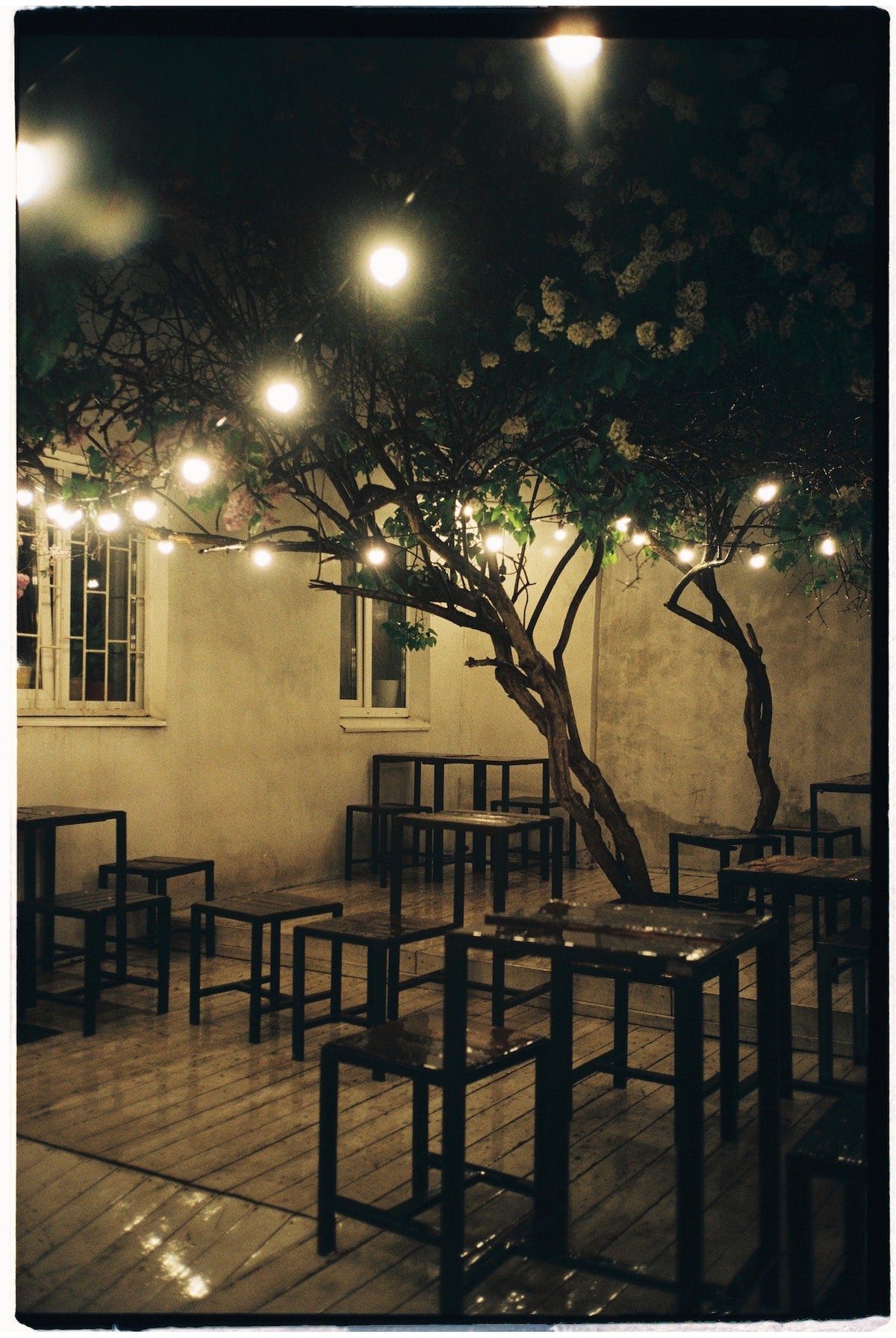 Lighting & Home Accents