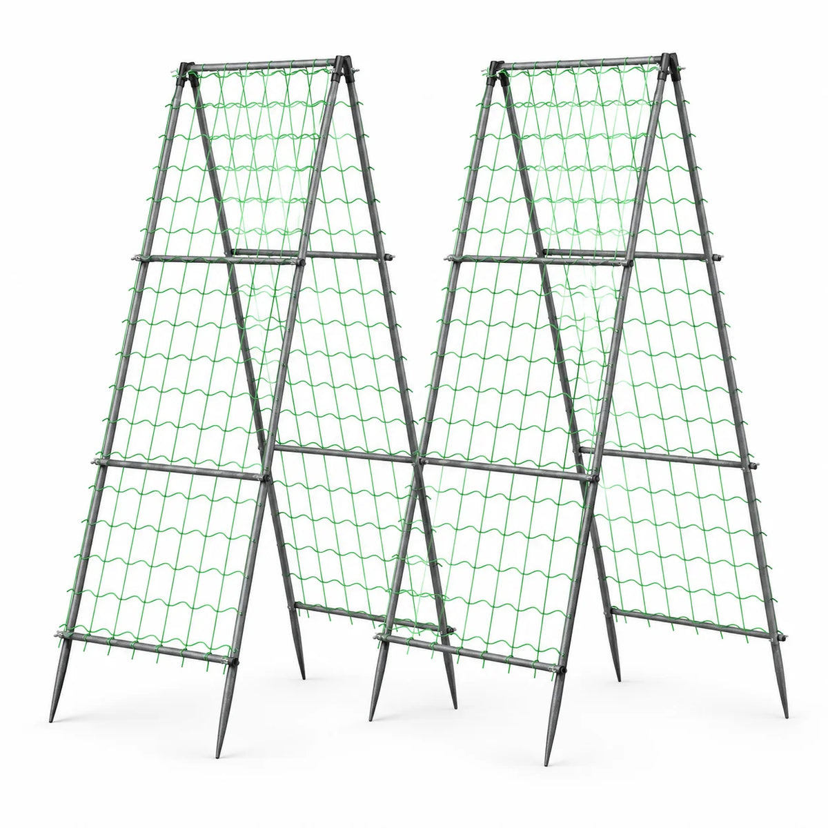 Metal Garden Trellis With Nylon Netting for Climbing Plants
