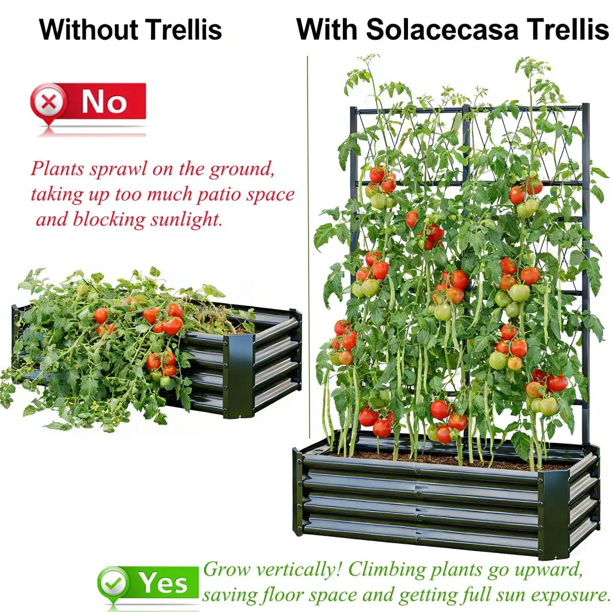 Galvanized Metal Raised Garden Bed With Climbing Plant Trellis