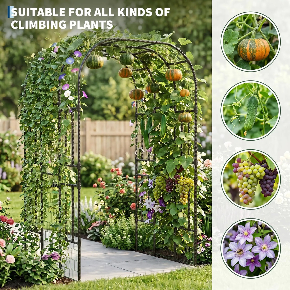 HiMISS Steel Garden Arch Trellis for Climbing Plants and Vines