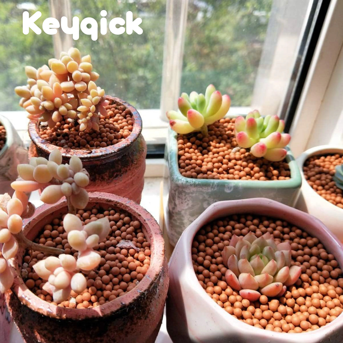 Natural Expanded Clay Pebbles for Aquariums, Gardens, and Potted Plants